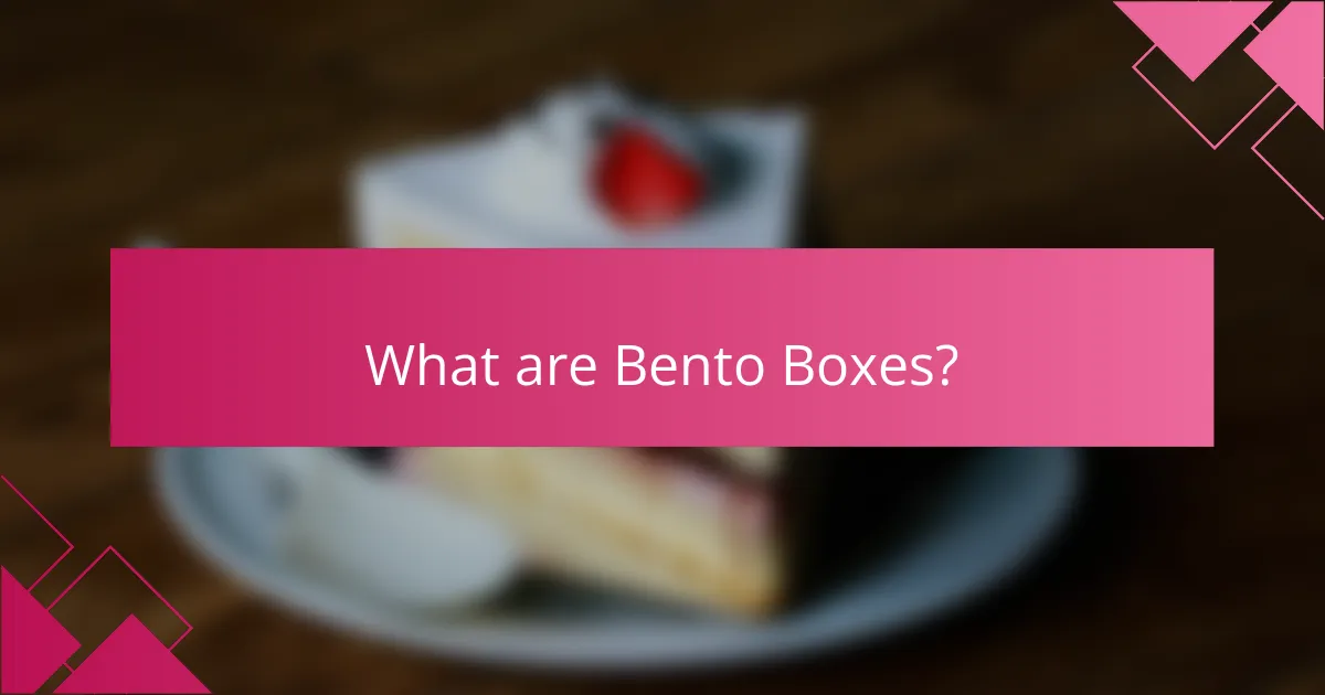What are Bento Boxes?