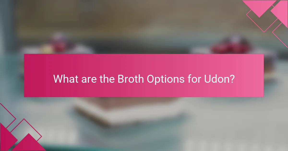 What are the Broth Options for Udon?